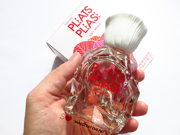 PleatsPlease6