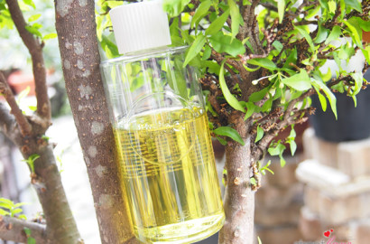 Lipidol Cleansing Body Oil