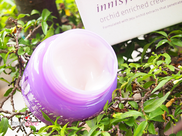 Innisfree Orchid Enriched Cream Texture